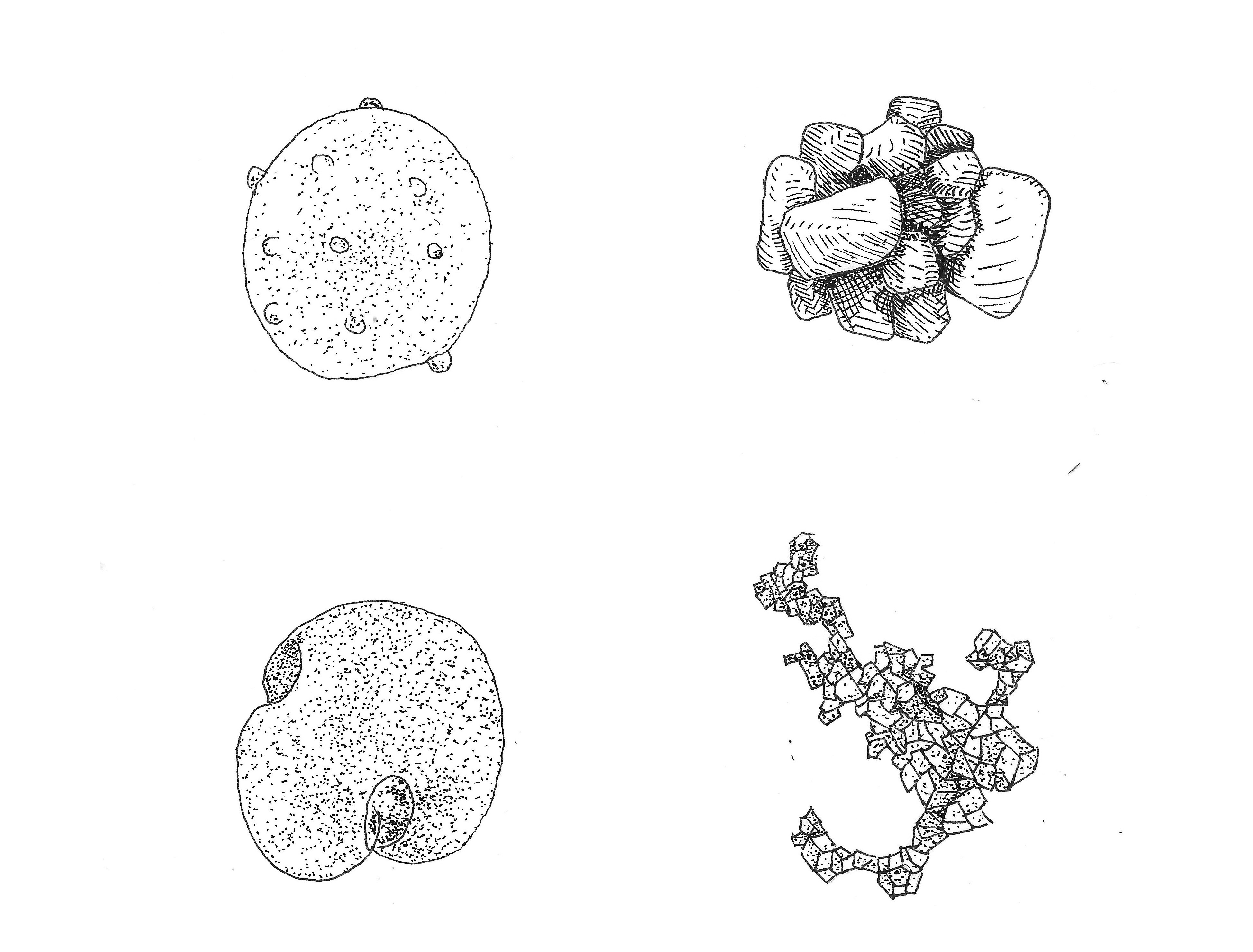 Illustration of different particles that comprise particulate matter